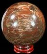 Colorful Petrified Wood Sphere #49750-1